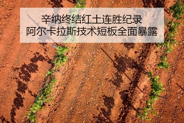 辛纳终结红土连胜纪录 阿尔卡拉斯技术短板全面暴露